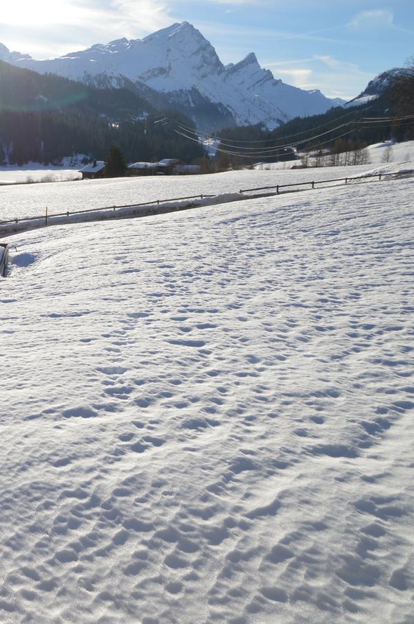 Hotel Seeblick Sufers Dış mekan fotoğraf